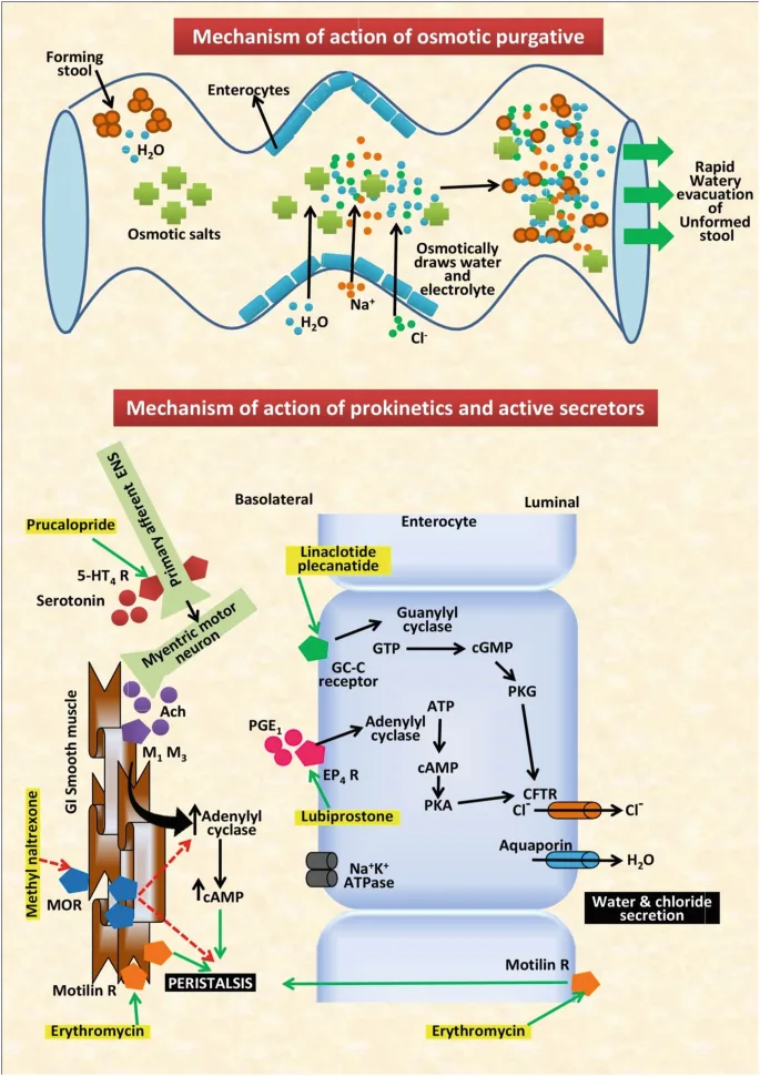 478100_1_En_37_Fig2_HTML