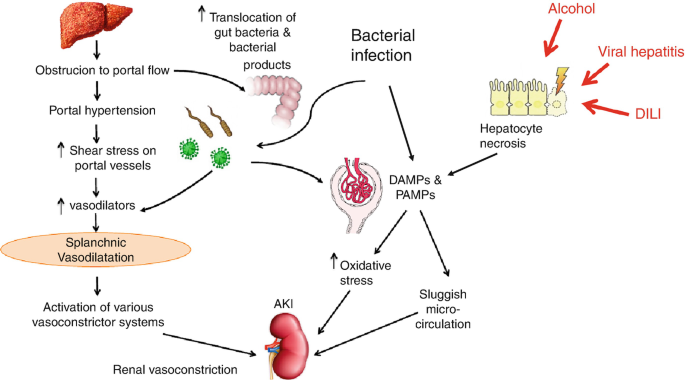 514995_1_En_10_Fig2_HTML