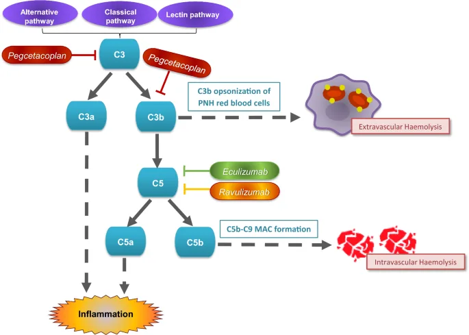 40265_2022_1809_Fig1_HTML