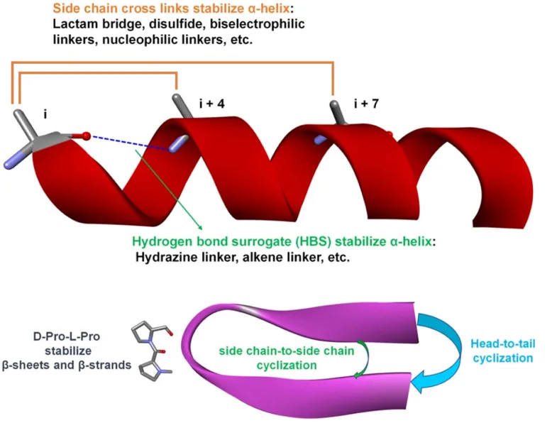 Peptide-Based Therapeutics: Overcoming Challenges to Unlock New Horizons in Drug Development（images 2）