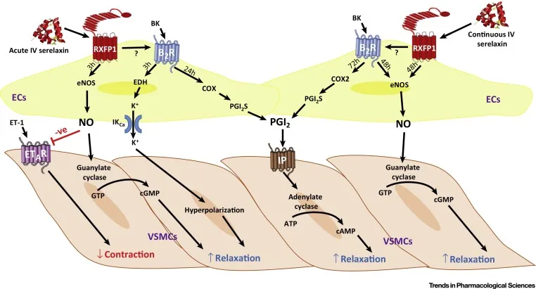 1-s2.0-S0165614716300025-gr1