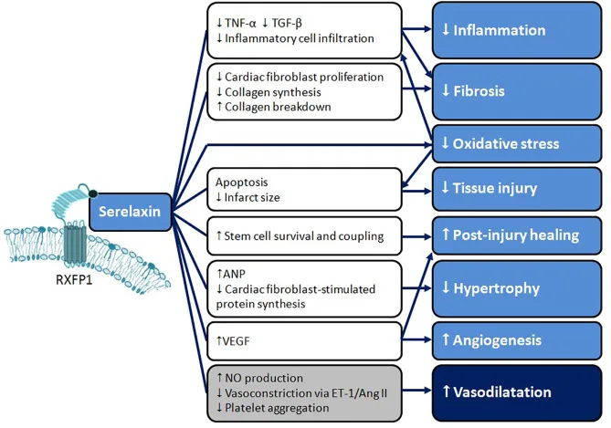 1-s2.0-S0953620518300803-gr1