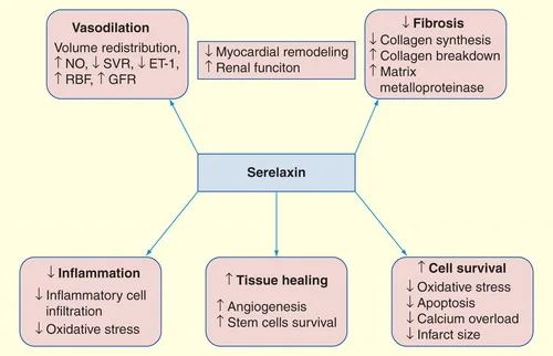 ierj_a_1073587_f0001_oc