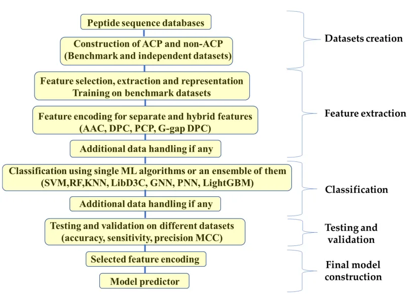 Anticancer Peptides: A New Frontier in Cancer Treatment and Drug Innovation（images 2）