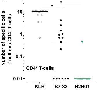 Beyond Serelaxin: Engineering Durable RXFP1 Agonists for Next-Generation Cardiovascular and Renal Therapy(images 4)