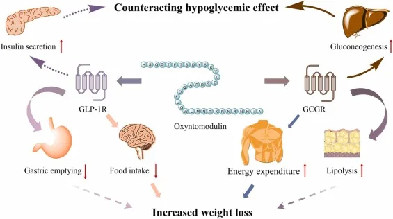 1-s2.0-S0196978123000177-gr2