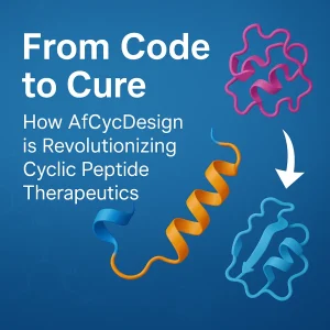 From Code to Cure: How AfCycDesign is Revolutionizing Cyclic Peptide Therapeutics