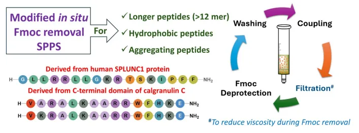 Sustainable Peptide Synthesis Meets Antimicrobial Power: A New Protocol for Hard-to-Make AMPs(images 1)