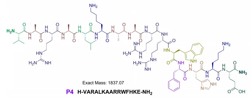 Sustainable Peptide Synthesis Meets Antimicrobial Power: A New Protocol for Hard-to-Make AMPs(images 3)