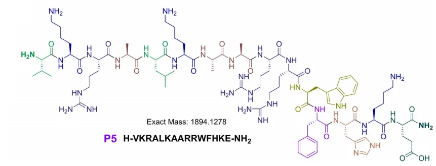 Sustainable Peptide Synthesis Meets Antimicrobial Power: A New Protocol for Hard-to-Make AMPs(images 4)