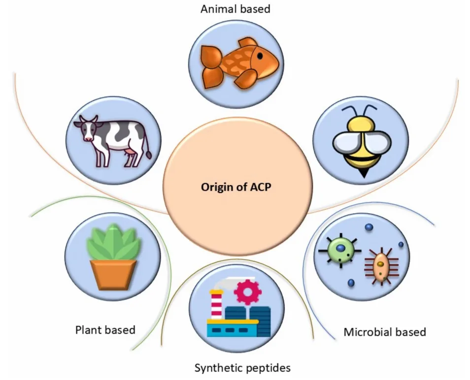 Precision Oncology Reinvented: How Anticancer Peptides Are Changing the Game(images 1)