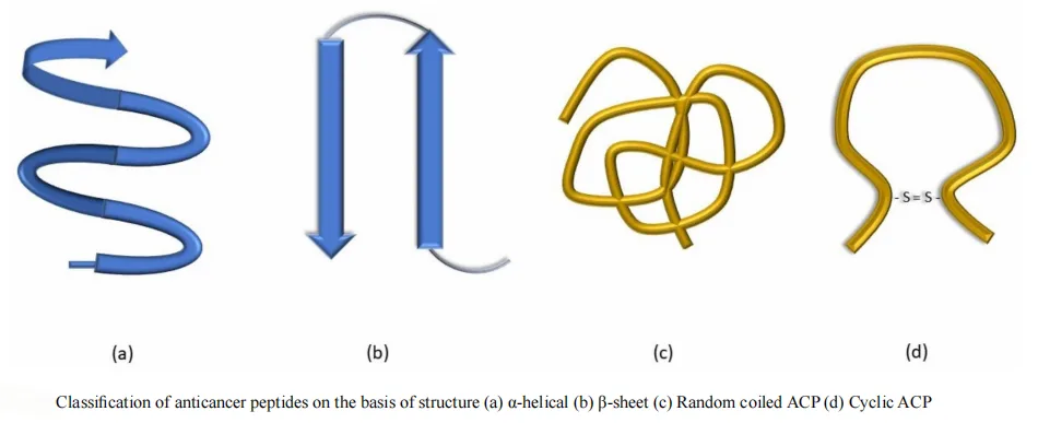 Precision Oncology Reinvented: How Anticancer Peptides Are Changing the Game(images 2)