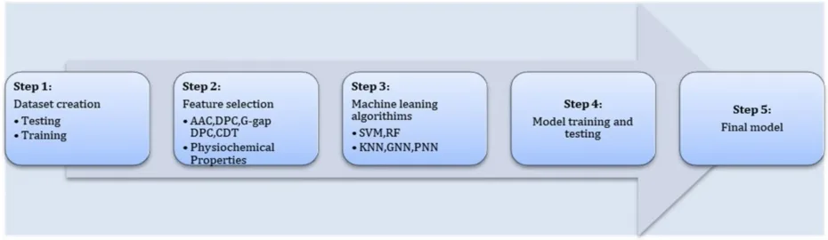 Precision Oncology Reinvented: How Anticancer Peptides Are Changing the Game(images 4)