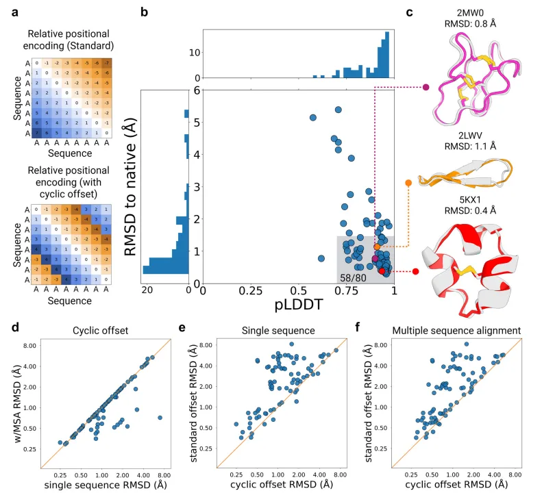 From Code to Cure: How AfCycDesign is Revolutionizing Cyclic Peptide Therapeutics(images 2)