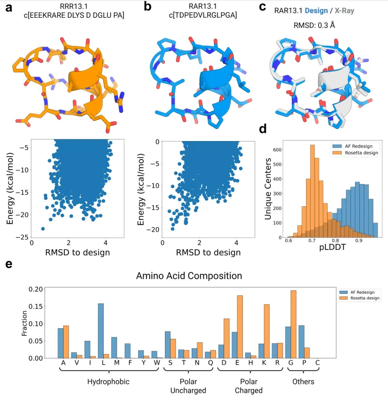 From Code to Cure: How AfCycDesign is Revolutionizing Cyclic Peptide Therapeutics(images 3)