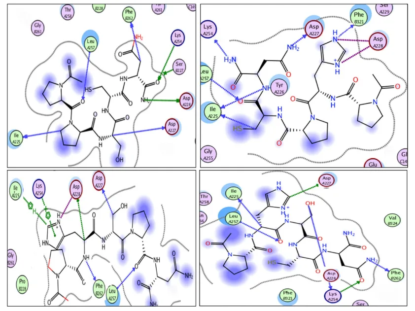 Proline to the Rescue: How Engineered Peptides Are Redefining SARS-CoV-2 Inhibition(images 3)