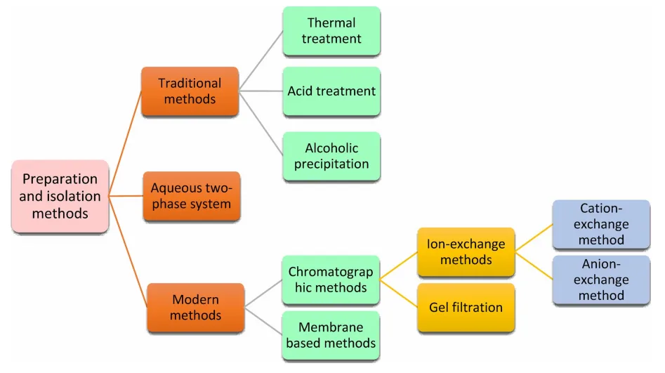 图片尺寸:947 x 531 Glycomacropeptide: The Milk-Derived Peptide Transforming Nutrition and Health(images 1)