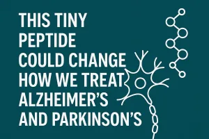 This Tiny Peptide Could Change How We Treat Alzheimer’s and Parkinson’s
