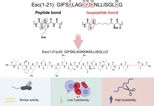 psc70048-toc-0001-m(1)