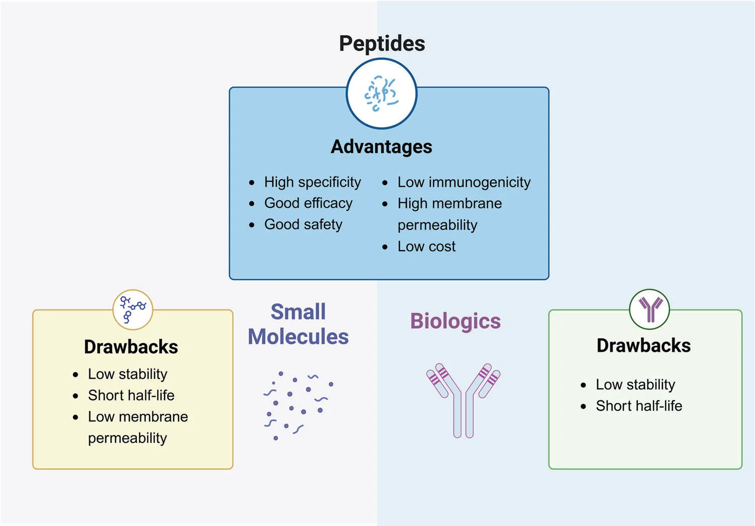 Peptide Power: The Future of Precision Medicine Starts Here(images 2)
