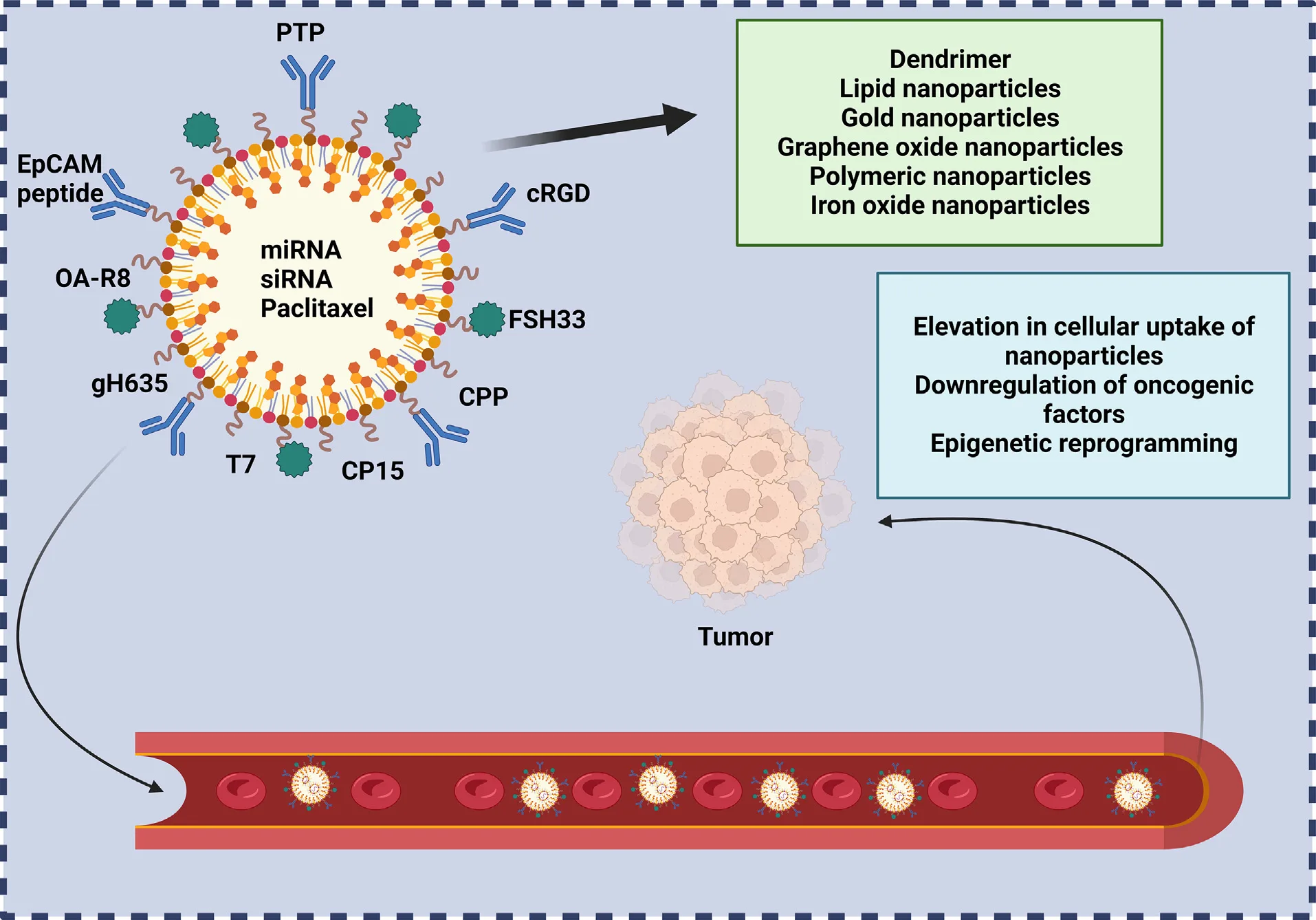 Peptide-Based Nanoparticles for Targeted Drug Delivery, Imaging, and Cancer Immunotherapy(images 4)