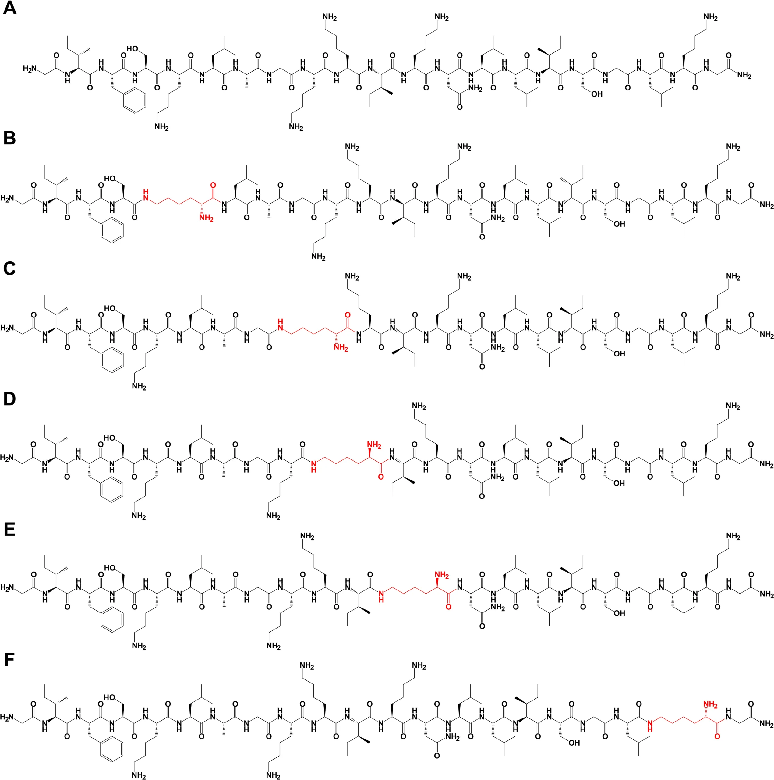 Engineering Esc(1-21): Isopeptide Bond Positioning for Optimized Antimicrobial Performance（images 2）