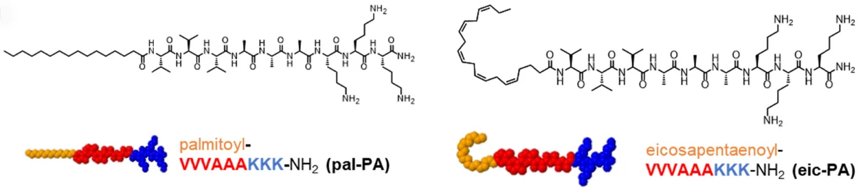 Peptide Amphiphiles and Gene Therapy: Why Amorphous Nanostructures Outperform Fibrils(images 2)
