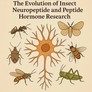 A Century of Discovery: The Evolution of Insect Neuropeptide and Peptide Hormone Research