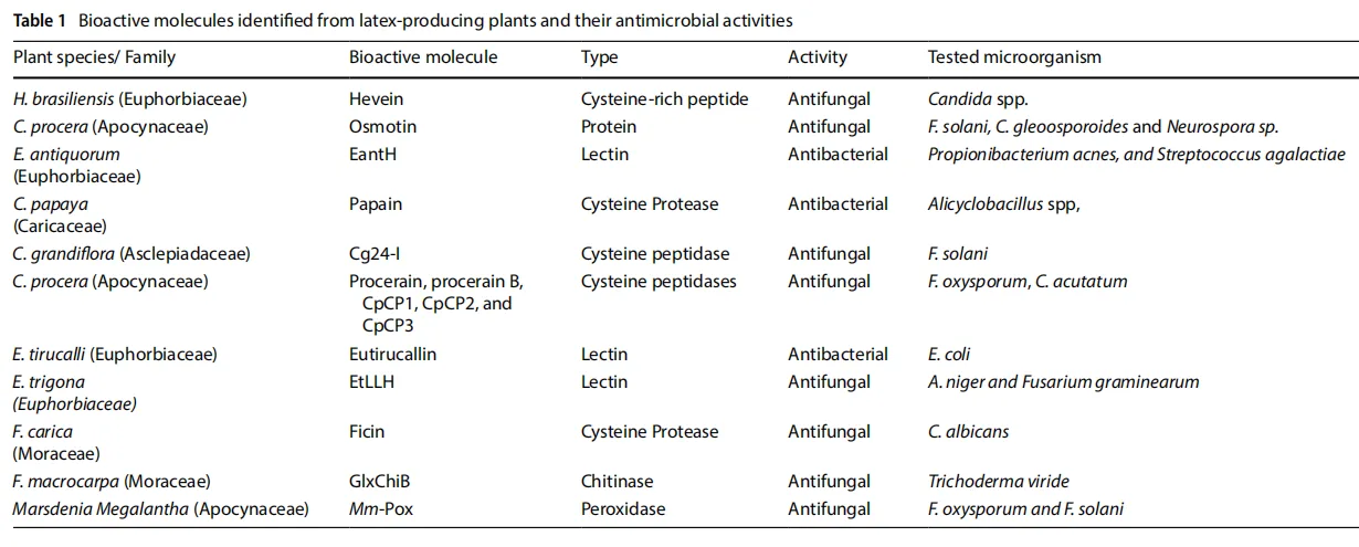 Latex-Derived Peptides and Enzymes: Nature’s Answer to Antibiotic Resistance(images 2)