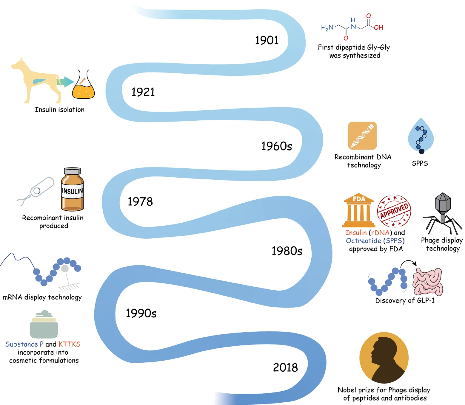 From Lab to Luxury: The Rise of Peptides in Anti-Aging and Skin Health(images 1)