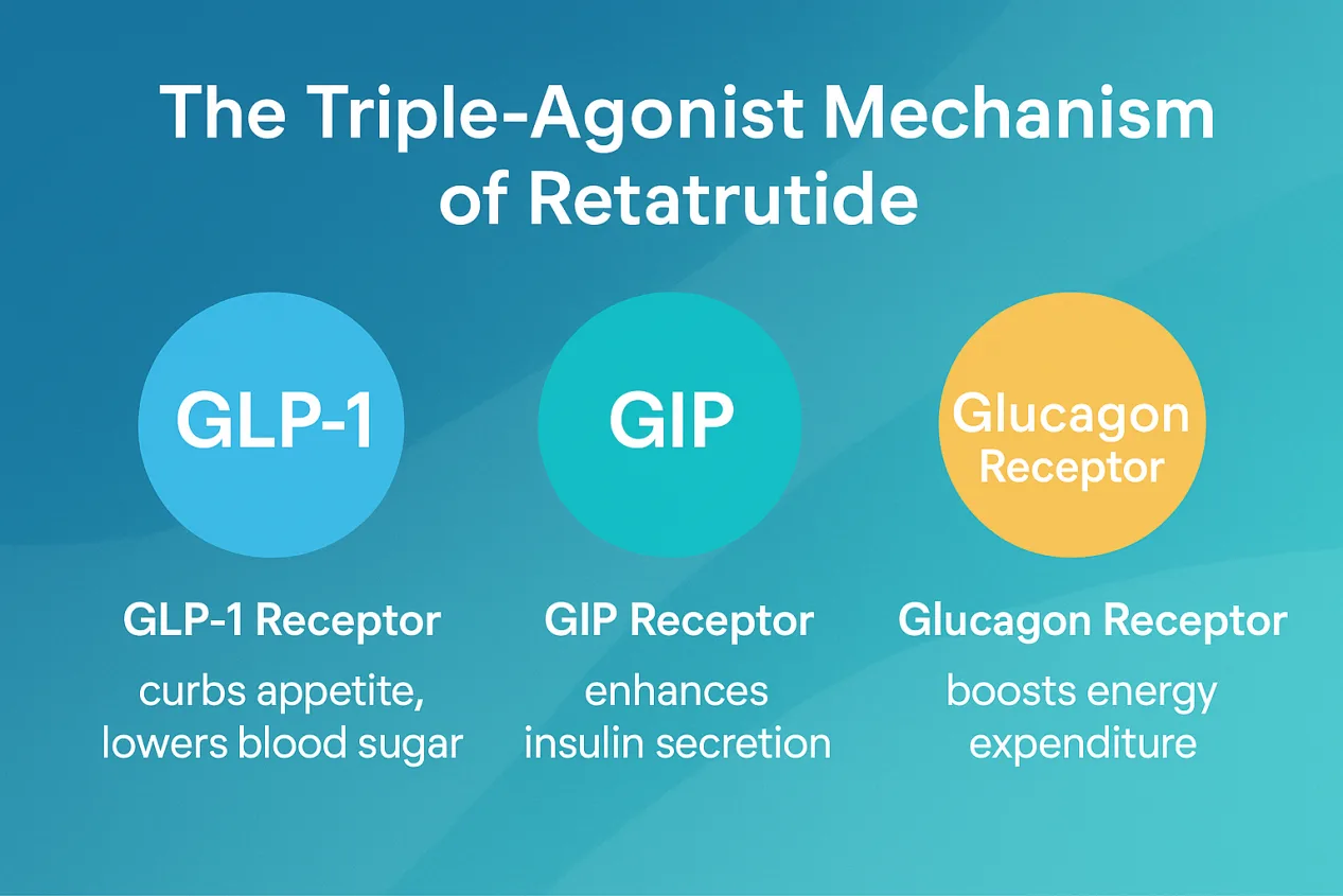 e947f064-e859-4a5d-ada0-43001501c453