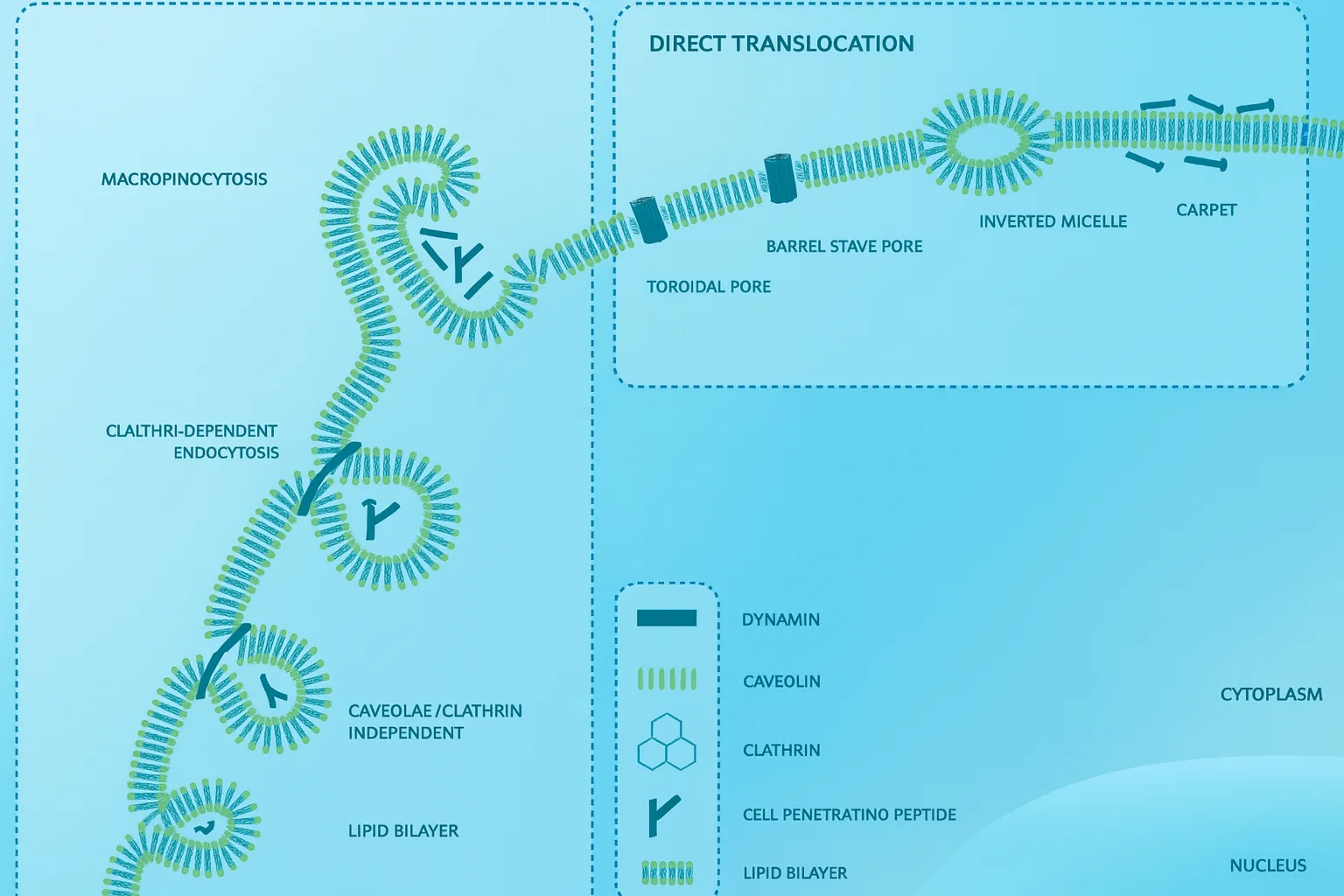 04112512-3f64-4dc0-89f0-6375fa559776