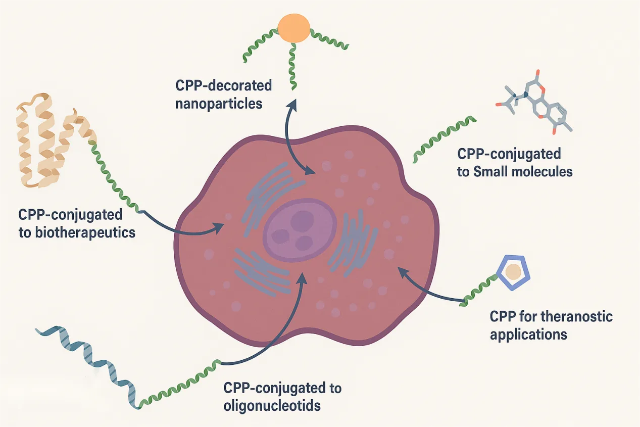 24f56b7a-1890-45ee-a198-e12aeef4352f