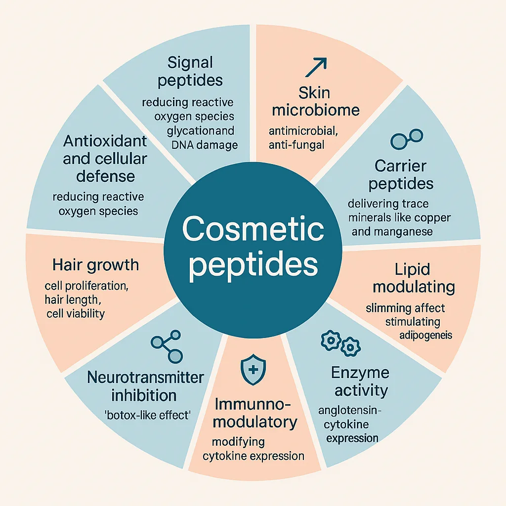 b2d21ed7-b802-4d94-b508-ee326d0b93c6