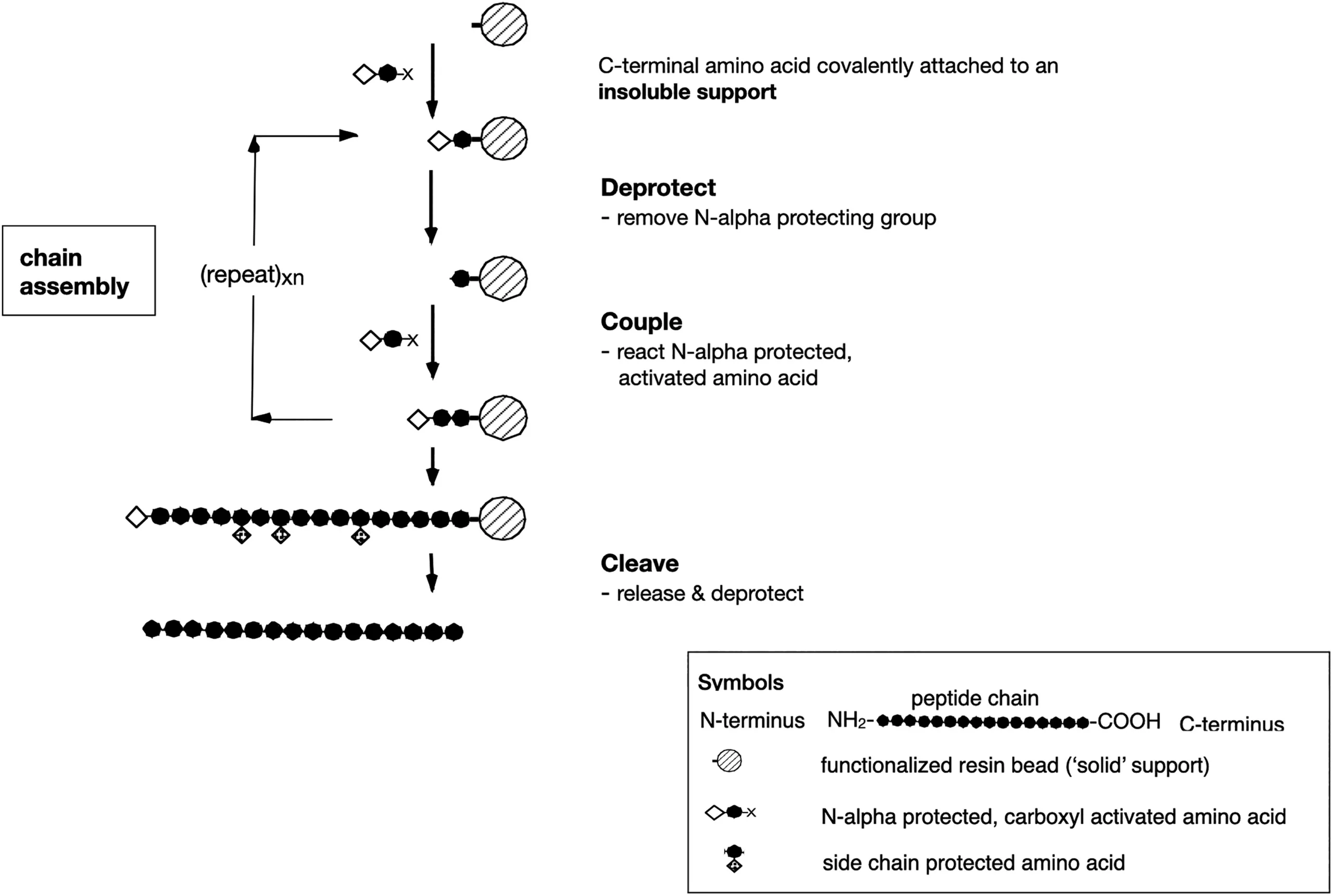Cleaner, Smarter, Greener: Redefining Peptide Manufacturing for the 21st Century（images 1）
