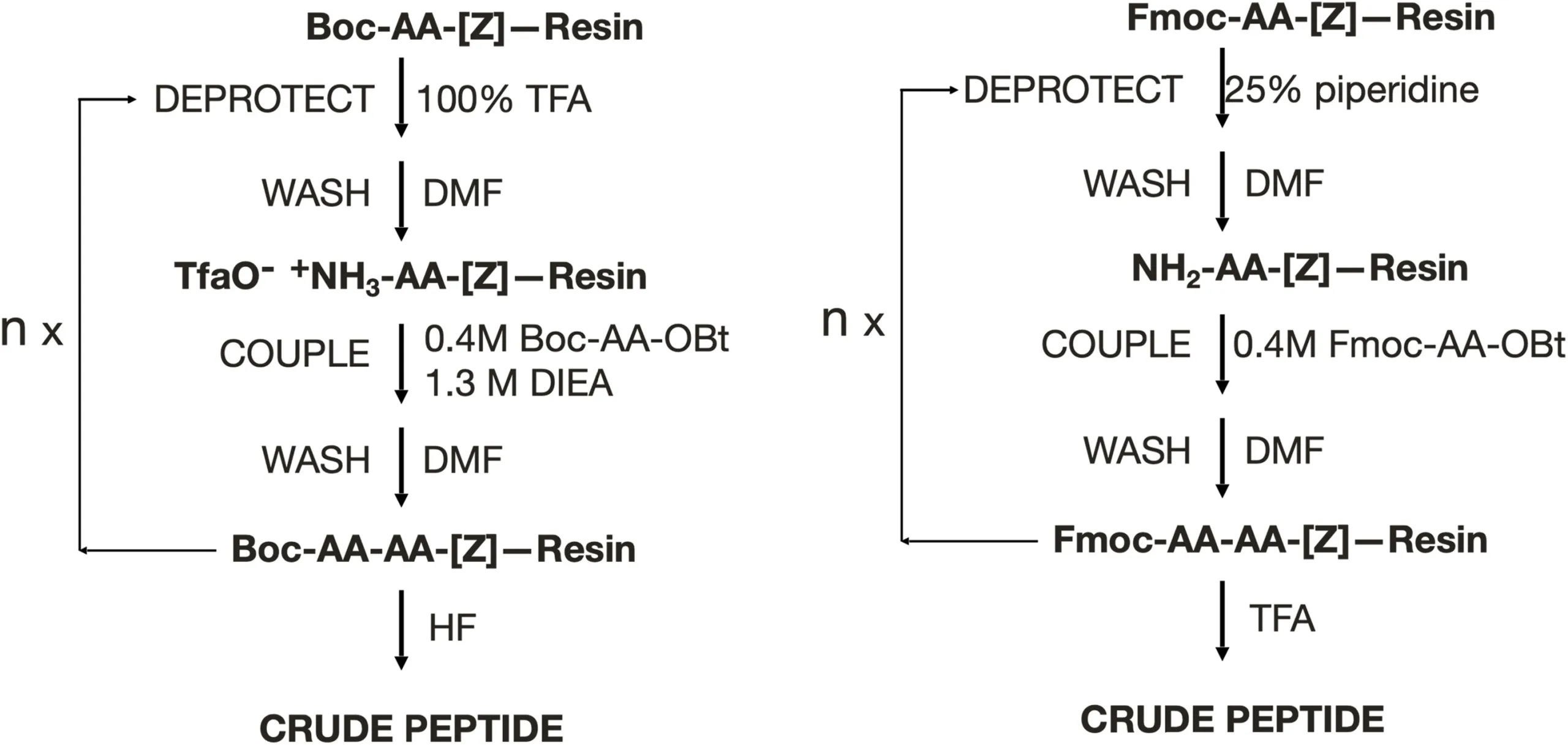 Cleaner, Smarter, Greener: Redefining Peptide Manufacturing for the 21st Century（images 2）