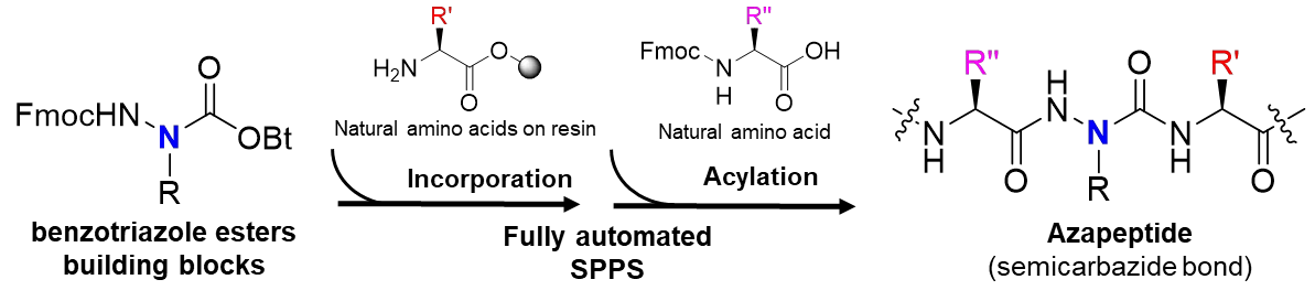 Revolutionizing Peptide Synthesis: Fully Automated Azapeptide Integration in GLP-1 Design(images 1)