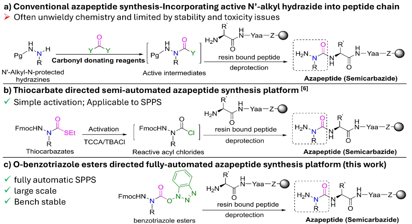 Revolutionizing Peptide Synthesis: Fully Automated Azapeptide Integration in GLP-1 Design(images 2)