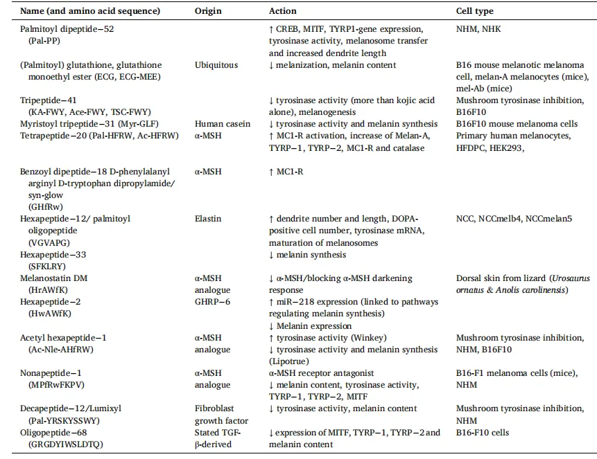 Inside the Peptide Boom: A Scientific Look at Modern Cosmetic Actives(images 3)