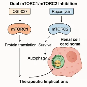 AI-Driven Design of Antiviral Peptides: A Hybrid Generative–Predictive Framework for Next-Generation Therapeutics