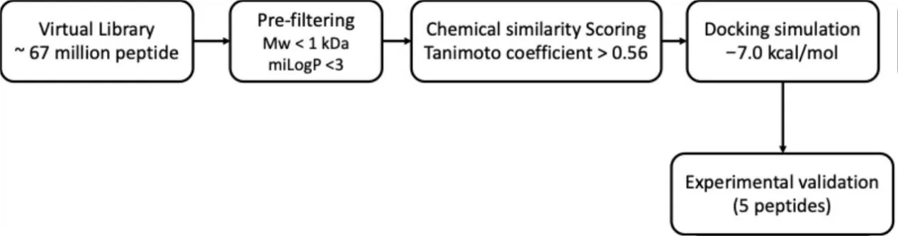 Targeting Collagen Quality: Cheminformatics-Designed Peptides Unlock a New Era in Anti-Aging Science(images 1)