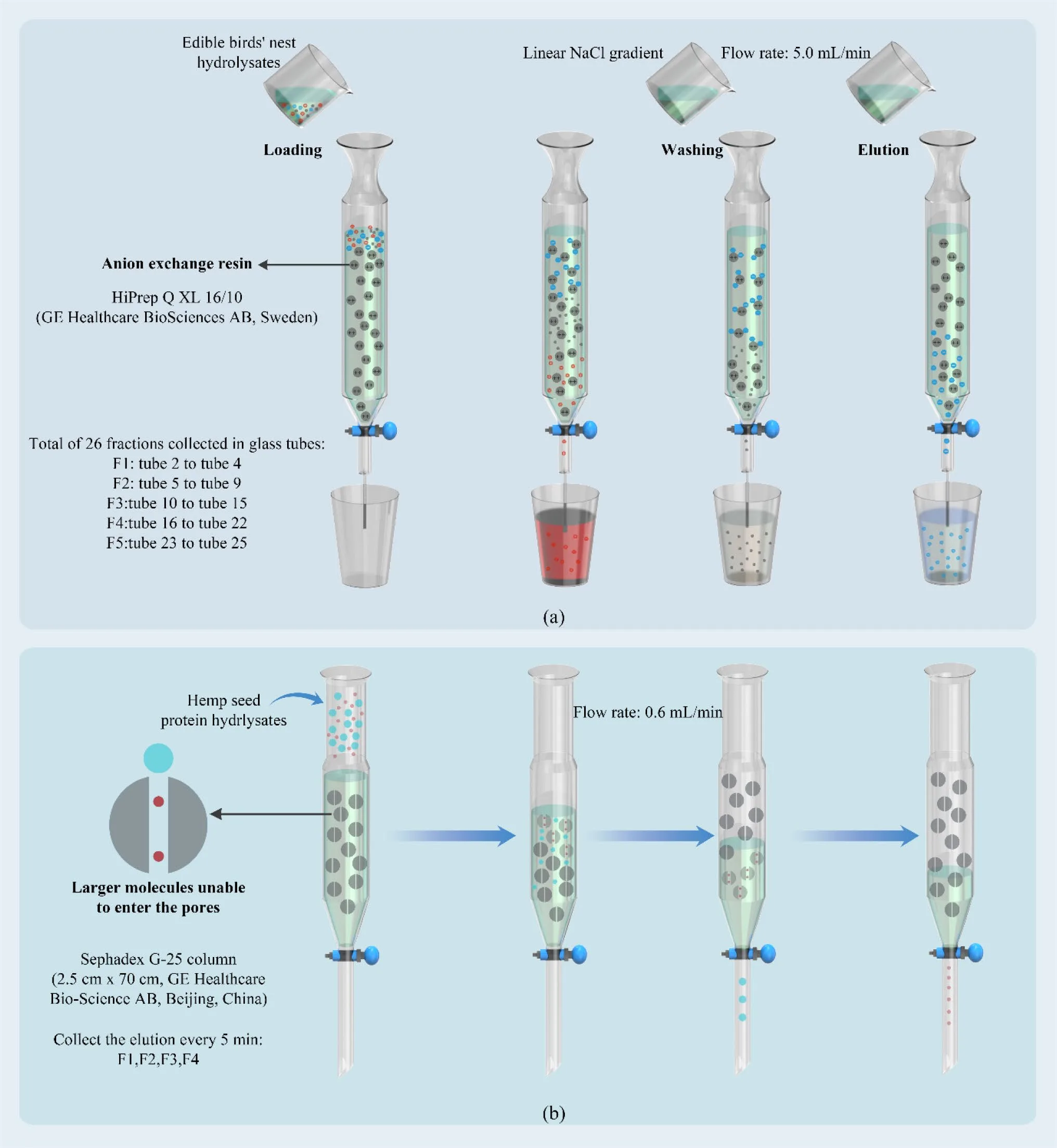 Unlocking Bioactive Peptide Potential: How Advanced Fractionation Strategies Enhance Functionality(images 3)