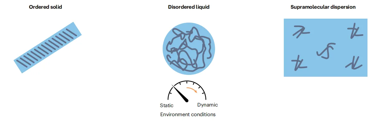 Decoding Peptide Materials: How Sequence Context Shapes Supramolecular Assembly（images 4）