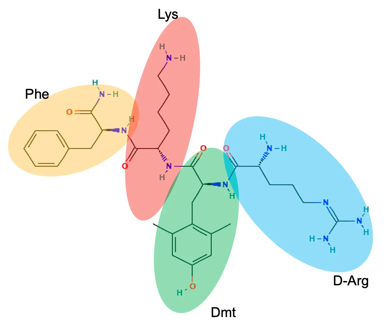 Elamipretide: A Mitochondria-Targeted Peptide for Cardiolipin-Focused Research（images 1）