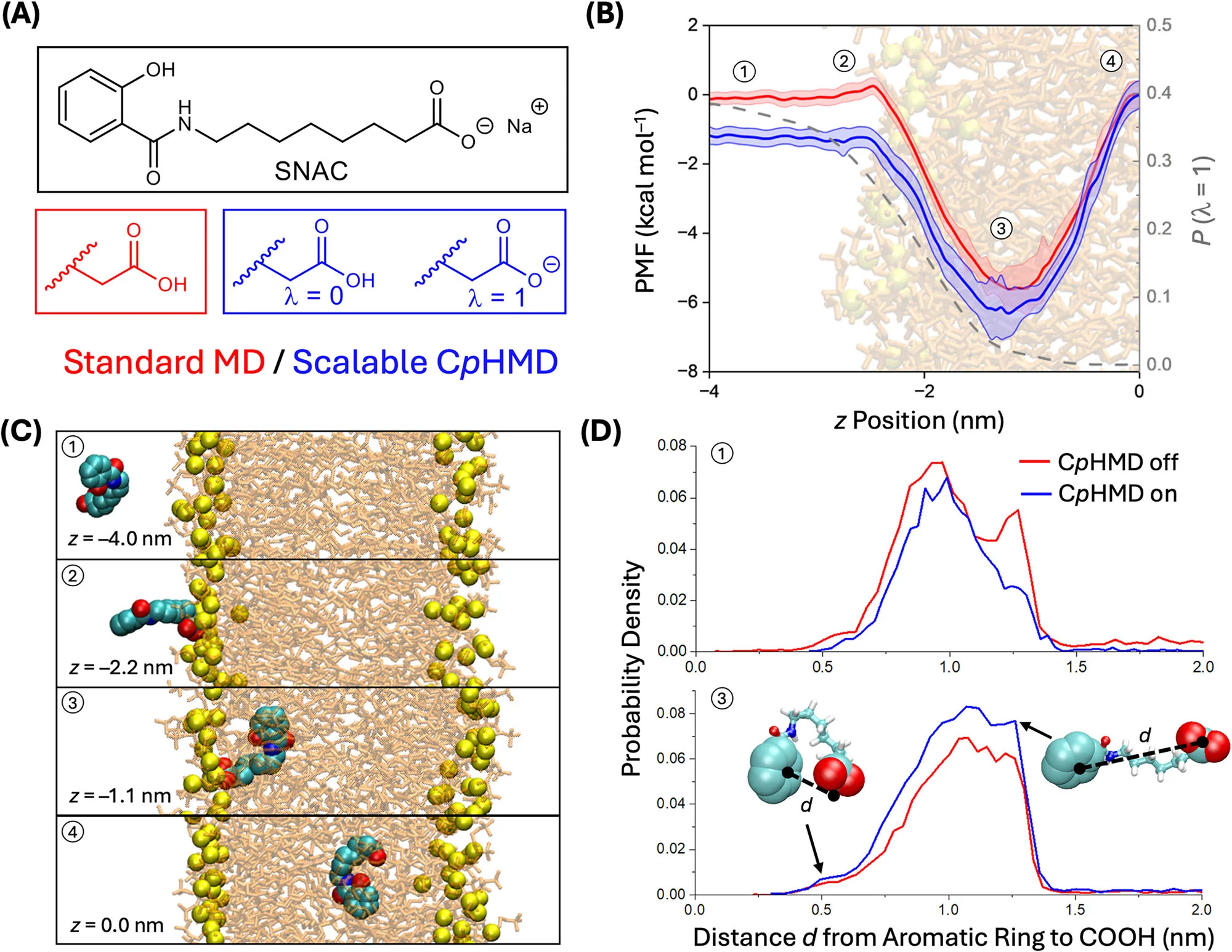 How Permeation Enhancers Enable Oral Peptide Drugs: A Molecular View from SNAC and Semaglutide（images 2）