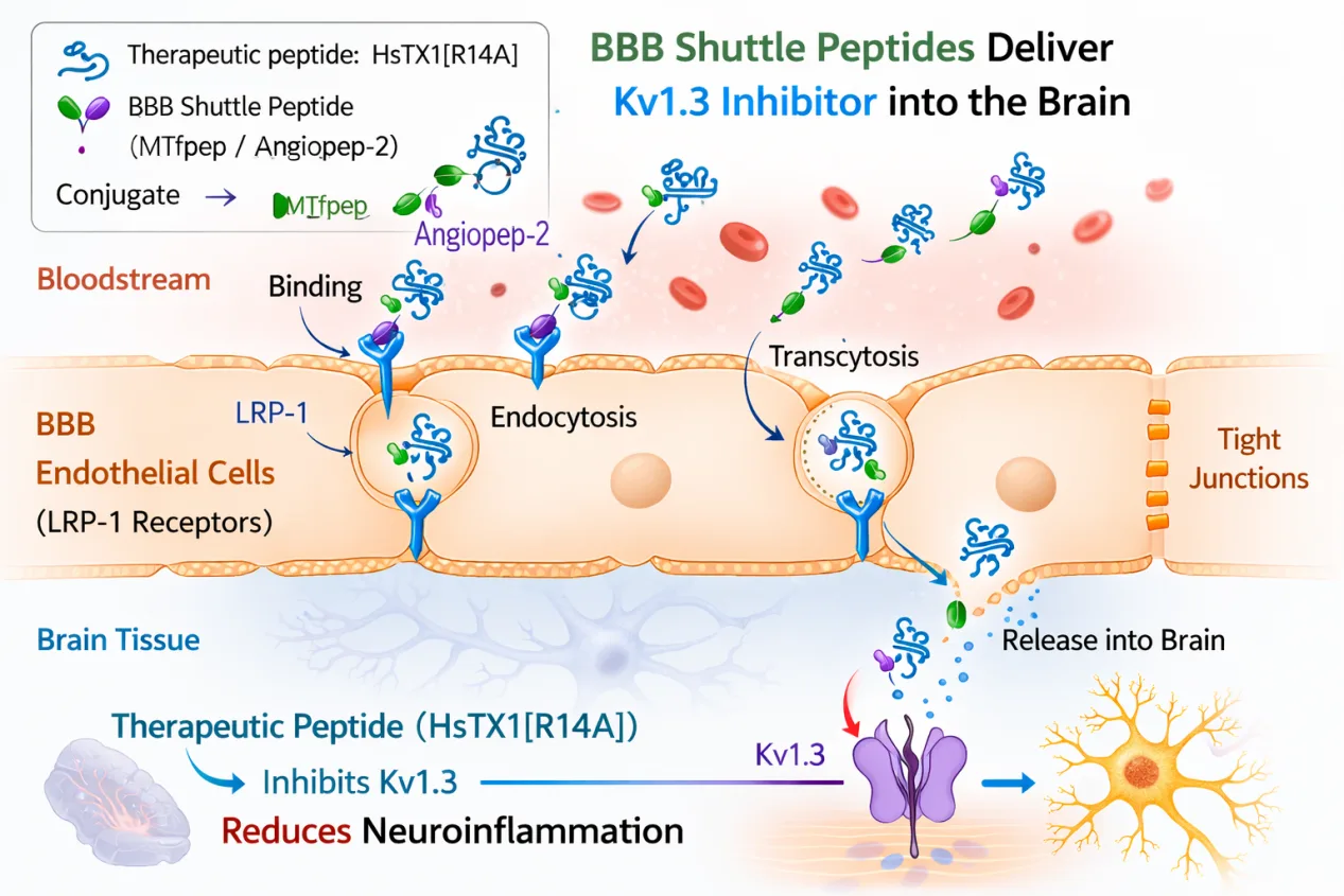 6e63e883-fc61-4e08-ae67-88abe54cd758