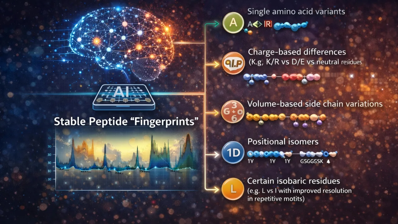 8b8b69ee-3513-4e4d-9f98-bf230044161a