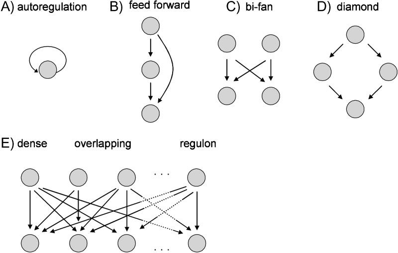 图片尺寸:800 x 510 Beyond Single Signals: How Bioactive Peptides Shape Cellular Communication Networks(images 2)
