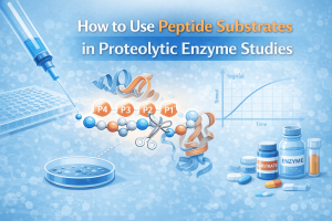 How to Use Peptide Substrates in Proteolytic Enzyme Studies