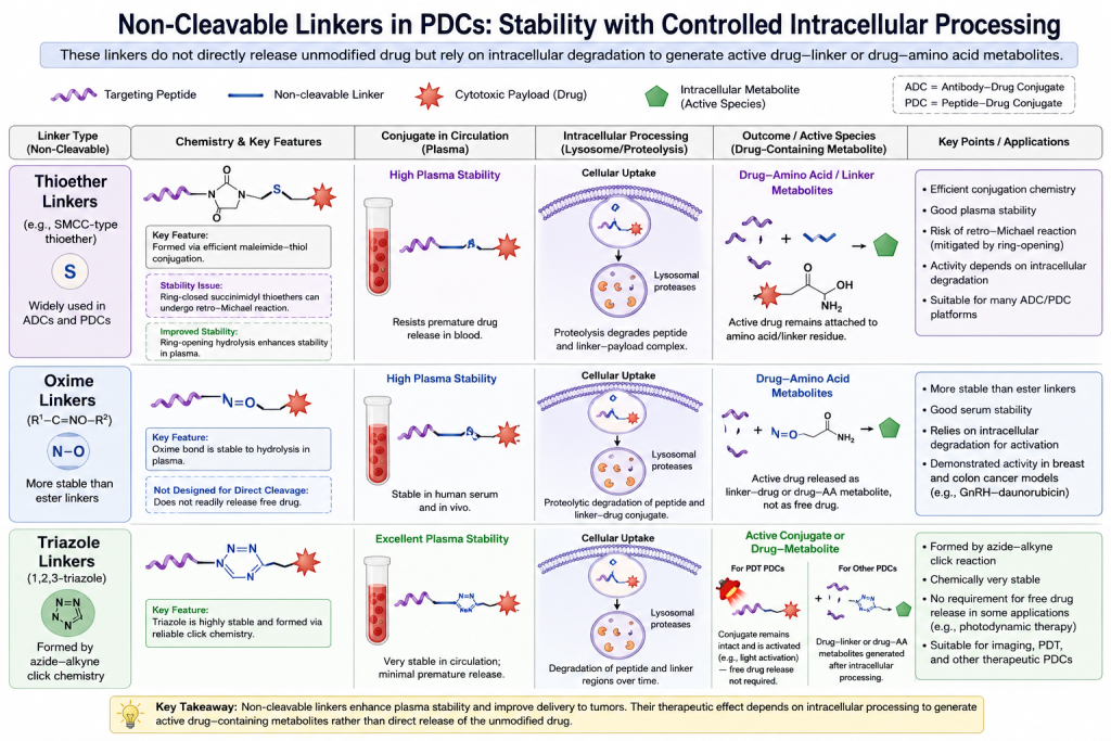 Peptide-Drug Conjugates with Different Linkers for Cancer Therapy(images 3)